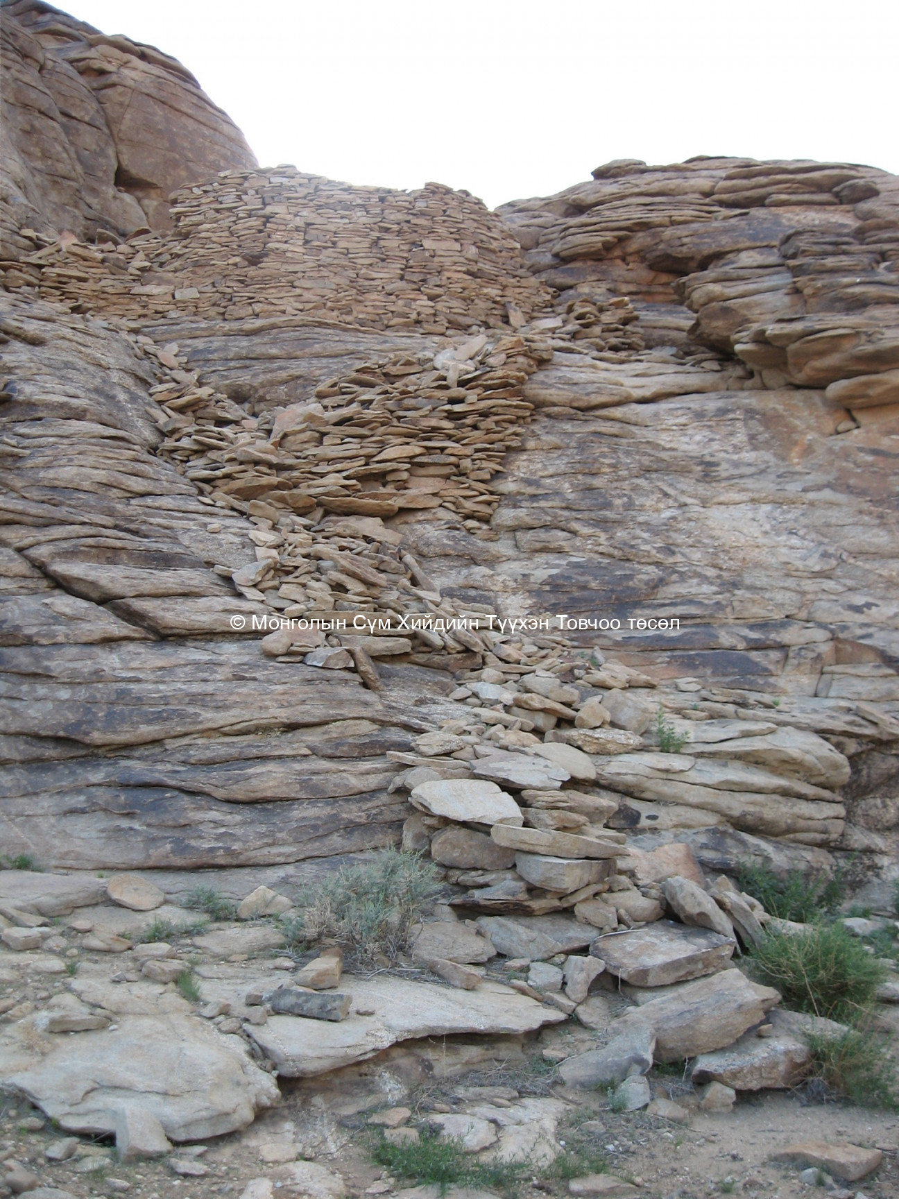 Үлдэгдэл туурь